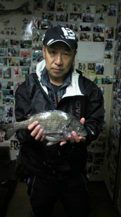 旧一文字赤灯での落とし込み　良型チヌ出てます