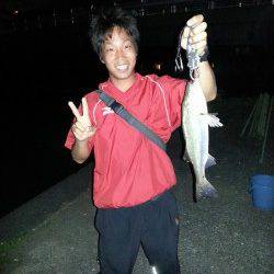 和歌川河口　チニングでチヌ6匹＆シーバス5匹！満潮から約１時間チヌの入れ食い☆