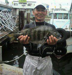 岸和田一文字　落とし込みのチヌが好調！