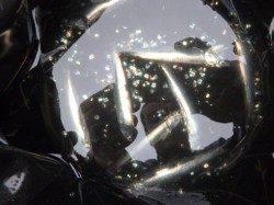 サビキ、兵突で今朝も回遊あり