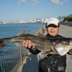 【キタァ~、スズキ】南芦屋浜リアルタイム
