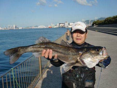 【キタァ～、スズキ】南芦屋浜リアルタイム