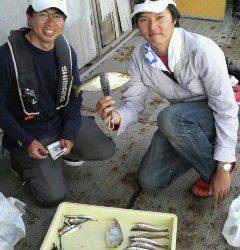 良型キスが面白い！岸和田一文字楽しめます