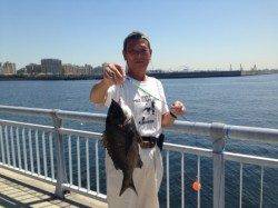 【ハネ好調!芦屋のチヌ復活気配】南芦屋浜