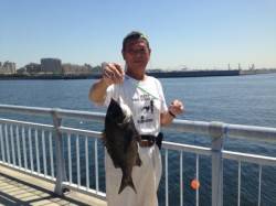 【ハネ好調！芦屋のチヌ復活気配】南芦屋浜