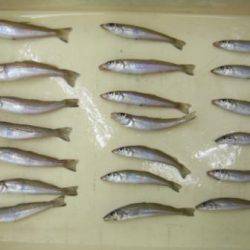 チョイ投げでキス♪♪ inマリーナシティ