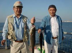 【イカとスズキ】南芦屋浜リアルタイム