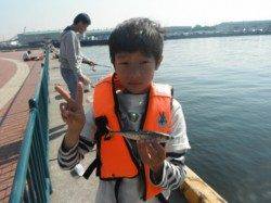 サバ・イワシ・稚アユ♪泉大津RT25日・朝