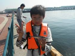 サバ・イワシ・稚アユ♪泉大津RT25日･朝…