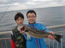 【スルメイカとハネ】南芦屋浜リアルタイム