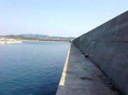 濱ノ瀬漁港 サビキで豆アジ楽しめる　ファミリーにオススメ☆