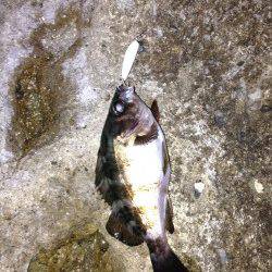 間人でメバリングゲーム、キーパーサイズ×2