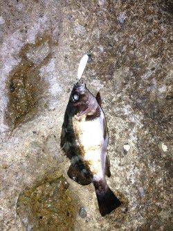 間人でメバリングゲーム、キーパーサイズ×2