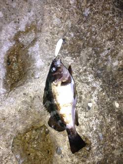 間人でメバリングゲーム、キーパーサイズ×2…