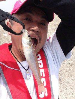 安乎～洲本エリアでキス釣り、「プルプル」がたまりませんね！！