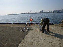 小野浜ＲＴ　３８ｃｍマコガレイ！