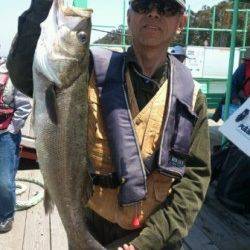 【ムコイチ スルメの気配上昇♪】武庫川店より
