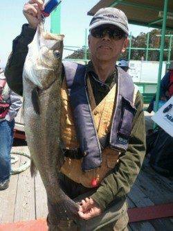 【ムコイチ スルメの気配上昇♪】武庫川店より