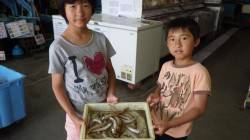 みなべ埴田の浜　投げ釣りでキス〜15cm2…