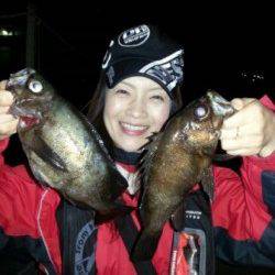 垂水一文字メバリングで記録更新!