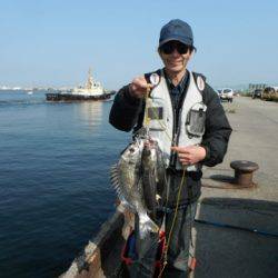 本日は｢チヌDAY♪」泉大津RT(3日・朝)