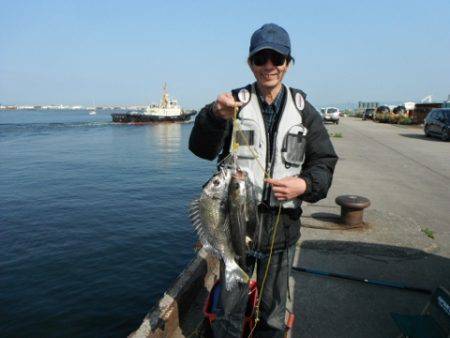 本日は｢チヌDAY♪」泉大津RT(3日・朝…