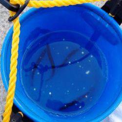 夕方の倉庫前で…3日泉大津周辺RT