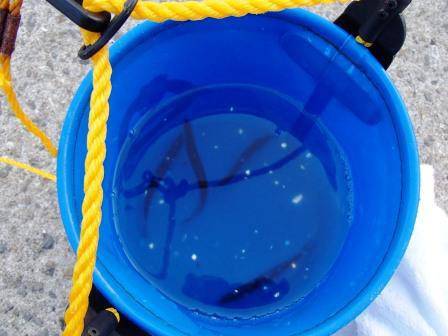 夕方の倉庫前で…３日泉大津周辺ＲＴ