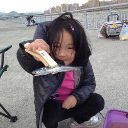 【イワシ３０匹ほど釣れた！】南芦屋浜