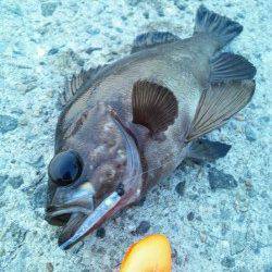 垂水一文字メバリング