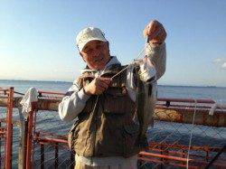 【エビ撒きハネ好調です！】南芦屋浜