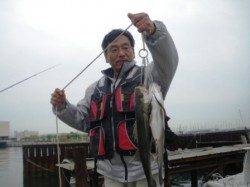 早くもポツリポツリと　泉大津RT　10日あさ