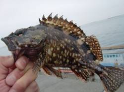 【雨は上がりそう】南芦屋浜リアルタイム 