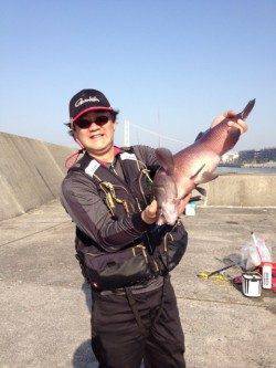 タルイチのカンダイ！