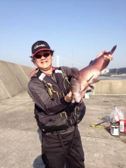 タルイチのカンダイ！ 