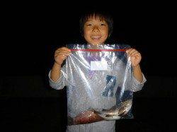 今日もスルメイカ釣れてます♪兵庫突堤夜のＲＴ