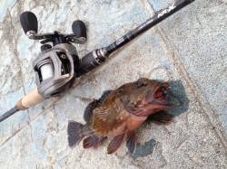 SWベイトフィネス×ロックフィッシュ