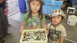 埴田漁港でファミリーフィッシング、アジ回遊…