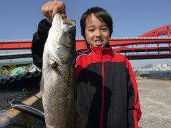 神戸各地RT グレ、ハネなど