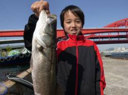 神戸各地ＲＴ　グレ、ハネなど