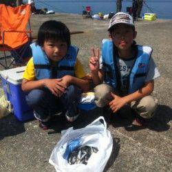 加太漁港大波止でイワシ好釣！ハゲやグレも！