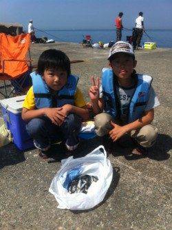 加太漁港大波止でイワシ好釣！ハゲやグレも！