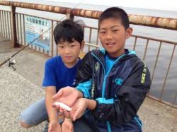 【スルメ・ハネ・アブシンなど釣れてます】芦…