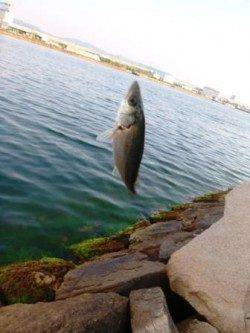 夕方の食コン★時合は18時★