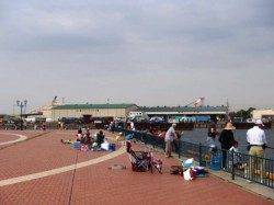 いい感じにイワシが♪泉大津ＲＴ！夕方