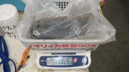 貴重なアタリをものにしました！天神崎ヤエン…