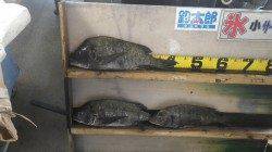 天神崎での紀州釣り