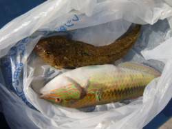 空港と北公園のＲＴ