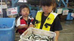 初めての釣りでおっかなびっくり、堺漁港にてサビキ釣り