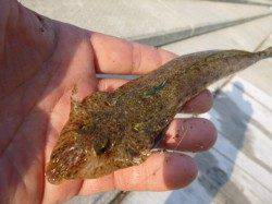 空港と北公園のRT